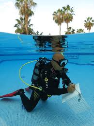 Berpendidikan formal 21 eysenck mengukur kejujuran 22 msdt mengungkap gaya manajemen 23 wwq mengukur kecenderungan gangguan mental 24 mmpi mengukur kecenderungan gangguan mental mbti mengukur kecenderungan sifat manusia 25 disc mengungkap gaya kerja seseorang. Padi Staff Instructor Tenerife Aqua Marina Padi Idc 5 Dive Centre