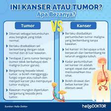 Hanya 5 kes sahaja dikesan bagi setiap 100,000 penduduk malaysia. Jenis Kanser Dan Diagnosis Untuk Penyakit Kanser Hello Doktor