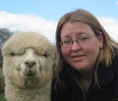 Meet the Bozedown Team