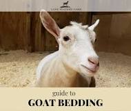 What bedding is best for goats?