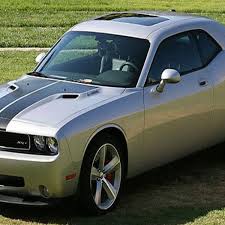 Image result for Bright Silver 2010 Challenger