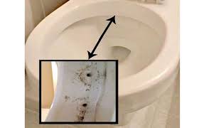 Maybe you would like to learn more about one of these? How To Clean Toilet Siphon Jets For A Stronger Flush Toiletseek