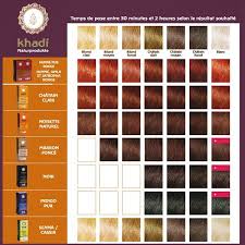 Khadi Teinture Aux Plantes Noire 100g Khadi Coloration Coloration Au Henne Coloration Vegetale