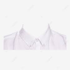 Free Photo Id Photo Shirt Id Photo White Shirt Photography Id Photo Shirt White Shirt Png Transparent Clipart Image And Psd File For Free Download Id Photo Free Shirts White Shirt