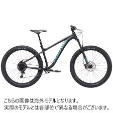 コナ kona ビッグホンゾ big honzo 2019年モデル rakutenichiba 楽天