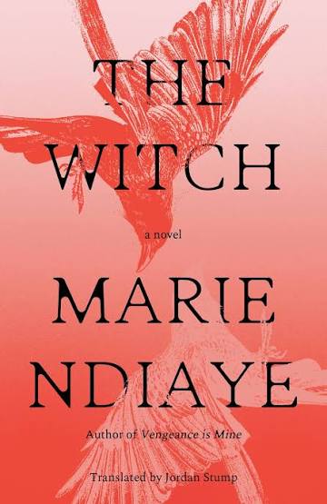 The Witch: A Novel – Reparations Club
