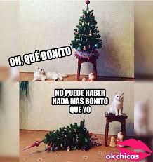 Explicado sencillo y paso a paso. 30 Ideas De Memes Navidad En 2020 Memes Imagenes Graciosas Memes Graciosos