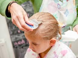 Sure, there are africans with straight hair, and as a result there are black people with straight hair as a guy who used to live in america until his teens until moving to brazil i can say that the people. Head Lice Infestation Causes Symptoms Diagnosis