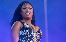 Megan ganz was born as megan ann ganz. Here S What Went Down At Megan Thee Stallion S Lollapalooza Set Idea Huntr