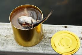 Fermenting Fish - Mediamatic