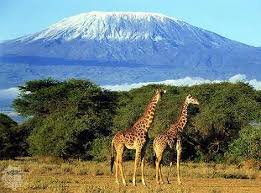 Mount Kilimanjaro Tanzania The Top Ten Places To Visit In Africa Kilimanjaro Places To Visit Africa