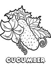 Never leave your salad without one. Printable Vegetable Coloring Pages Topcoloringpages Net