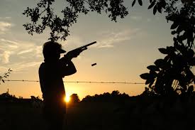 Where to watch time to hunt. Dove Hunting Season Preview Hunters Will Go Far Afield In Quest For Popular Game Bird