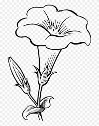Find over 100+ of the best free flower drawing images. Funeral Flower Clipart Yellow Bell Flower Drawing Free Transparent Png Clipart Images Download