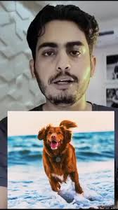 Goats, missing for several days from a farm in #Italy, were spotted h...