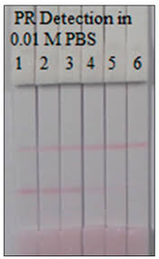 Image result for Paromomycin