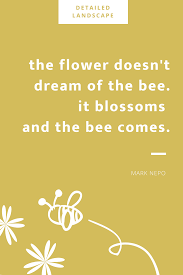 Favorite bee and flower quotes. The Flower And The Bee Garden Quotes Gardening Garden Quotes Bee Quotes Flower Quotes