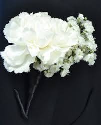 A wide variety of baby breath flower options are available to you, such as occasion, type. Sympathy Flowers And Funeral Flowers Delivered In Dallas