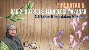 Bahan kimia alami dan bahan kimia buatan. 2 5 Bahan Kimia Dalam Makanan Youtube