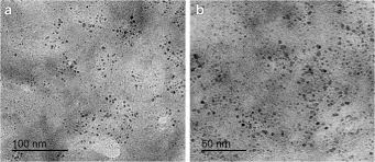 Colmediten 0.50mg tablets mechanism of action of colchicine it inhibits microtubule polymerization by binding to tubulin, one of the main constituents of microtubules. N Doped Carbon Dots As A Fluorescent Nanosensor For Determination Of Colchicine Based On Inner Filter Effect Springerlink