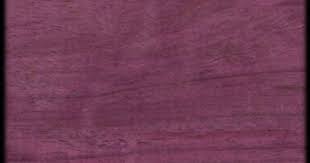 Love This Purple Heart African Ebony Wood Purple Wood Stain Staining Wood Natural Stain Wood