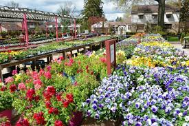 Get reviews, hours, directions, coupons and more for oakland nursery at 1156 oakland park ave, columbus, oh 43224. Oakland Nursery Inc Linkedin