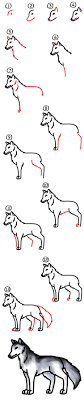 How To Draw A Realistic Wolf Art For Kids Hub Wolf Drawing Wolf Art Art For Kids Hub The images above represents how your finished drawing is going to look and the steps involved. for kids hub wolf drawing wolf art