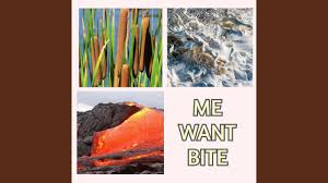 Makanan kucing persia sebenarnya sama saja dengan jenis makanan untuk kucing pada umumnya. Itskeyes Me Want Bite Lyrics Genius Lyrics