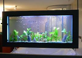 Aquarium Dream On Slim Jpg 691 488 Aquascape Aquarium Aquarium Aquascape