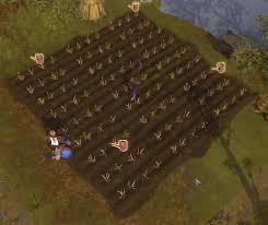 New players will find almost infinite opportunities in the vast world of albion online. Island Farms Albion Online Wiki