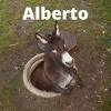 Alberto fernandez spent his entire political career as the man behind the scenes. 1