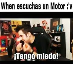 ¡derrota a la escuadra enemiga! Otro Meme Free Fire Amino