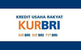 Salah satu strategi di balik kencangnya penyaluran kur bri yakni dengan digitalisasi proses pengajuan kur. 5 Cara Dapatkan Pinjaman Bri Buat Bengkel Brother Buruan Daftar Motorplus