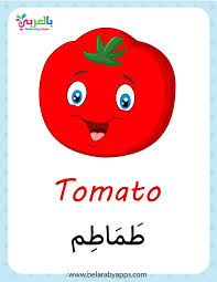 اسماء الخضروات بالانجليزي والعربي بالصور فلاش كارد الخضروات بالعربي نتعلم Tomato