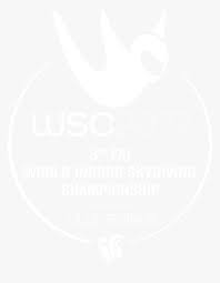 Champions league ofc champions league 2016 17 uefa champions league 2017 caf champions league concacaf champions league basketball champions league 2018 uefa champions league final. Caf Champions League Png Download Caf Champions League 2010 Transparent Png Kindpng
