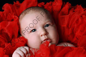 Amy Ussery's Instagram, Twitter & Facebook