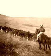 The Code Of The West Cattle Trails Old West American Frontier