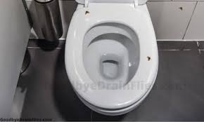 There is a worm that looks like a ball black hair, and intrusive body through the skin. What Are Drain Worms Removal Prevention Guide