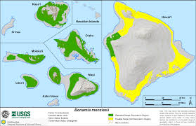 Image result for Bonamia