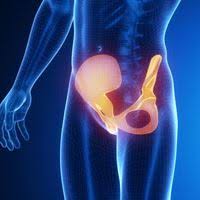 Pubis Femme Et Homme Anatomie Et Douleurs De L Arcade Pubienne