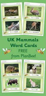Uk Mammal Display Photos Word Cards Mammals Words