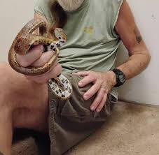 We were having a pretty cool discussion about snakes