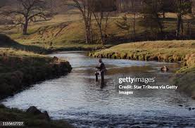 139 Mark Chatfield Stock Photos, High-Res Pictures, and Images