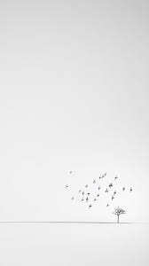 These 87 minimalist iphone wallpapers are free to download for your iphone. White Minimalist Wallpapers Wallpaper Cave