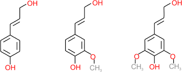 Meaning of the name origin of the name names meaning names starting with names of origin. Key Factors Affecting The Recalcitrance And Conversion Process Of Biomass Springerlink