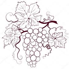 Uzum Yapragi Duzenlenebilir Vektor Cizim Eps8 Ile Boyama Sayfalari Mandala Uzum Cizim