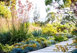 Garden In Tasmania Australian Dreamscapes The Art Of Gardening Via Theplanthunter Com Au Australian Garden Design Australian Native Garden Native Garden