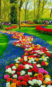 This spring flower garden has a great mixture of many different kinds of flowers including roses, tulips, lilies, and daisies. Visiting The Outdoors Garden Plants And Flowers Beautiful Flowers Garden Most Beautiful Gardens Garden Art