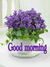 Pin By Sutapa Sengupta On Good Morning Good Morning Flowers Flower Quotes Good Morning Gif