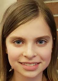 DAR honors local essay winners